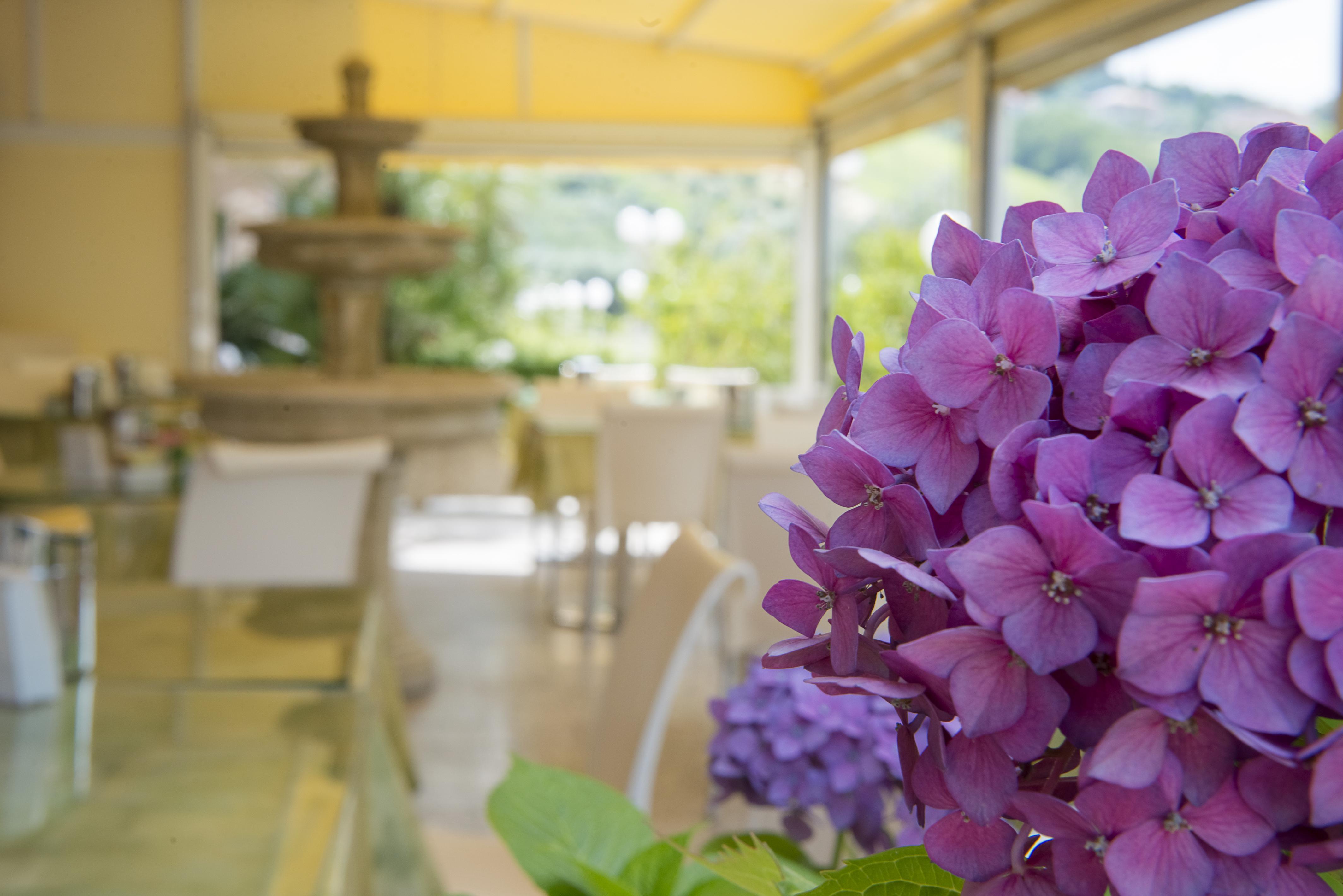 Hotel Villa Elena Tortoreto Esterno foto